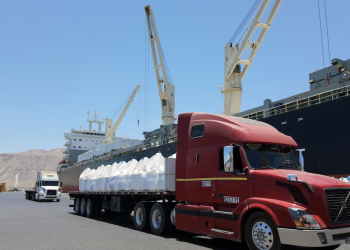 Puerto de Iquique consolida diversificación de cargas con nueva operación internacional en Terminal Molo