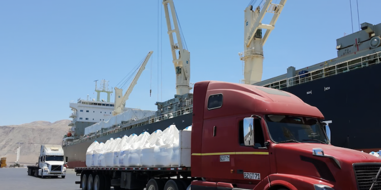 Puerto de Iquique consolida diversificación de cargas con nueva operación internacional en Terminal Molo