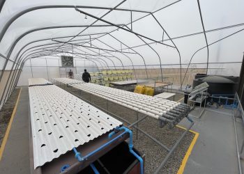 Abren inscripciones para formación gratuita especializada en Agro-Innovación