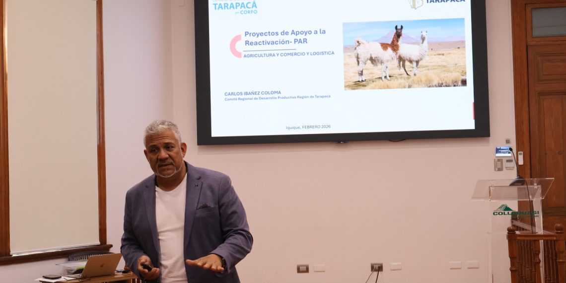 Agricultores y avicultores de Tarapacá podrán optar a financiamiento para prevenir la influenza aviar y la mosca de la fruta