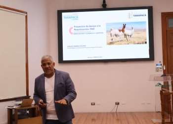 Agricultores y avicultores de Tarapacá podrán optar a financiamiento para prevenir la influenza aviar y la mosca de la fruta