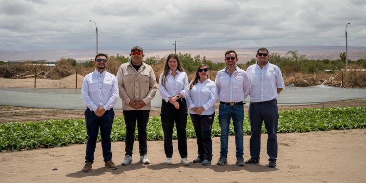 Collahuasi y agricultores concretan un nuevo hito en economía circular en Liceo Bicentenario de Pica