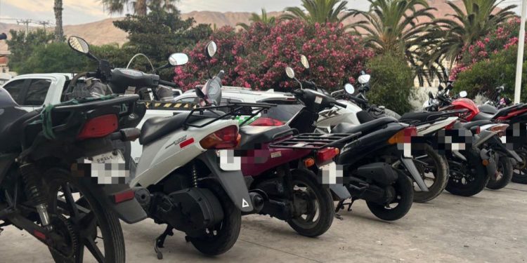 Golpe al contrabando en Iquique: Ronda focalizada deja ocho detenidos y masiva incautación