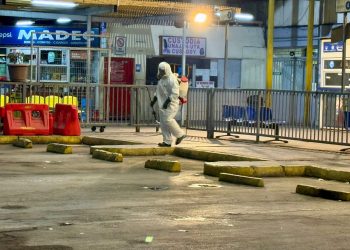 Salud inició desinsectaciones en Rodoviario de Iquique tras hallazgo de huevos sospechosos de Aedes aegypti