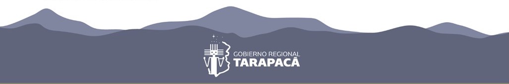 Declaración Pública del Gobierno Regional de Tarapacá