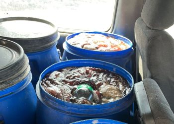 Carabineros detiene nuevamente a infractor por extracción de recursos marinos en veda en Pisagua