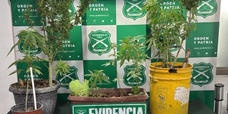 Carabineros detiene a dos sujetos por amenazas, porte de arma y tráfico de drogas en Alto Hospicio