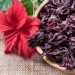 Flor de Jamaica: ¿Qué es y cuáles son los beneficios de esta popular infusión?