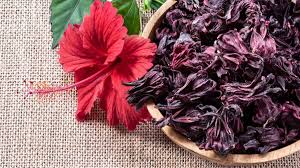 Flor de Jamaica: ¿Qué es y cuáles son los beneficios de esta popular infusión?