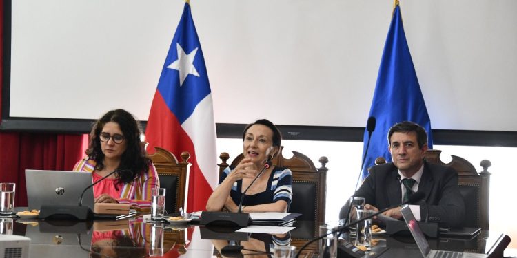 Presidenta Chevesich informa plan de trabajo de mejora de la gestión a las autoridades de Cortes de Apelaciones de todo el país