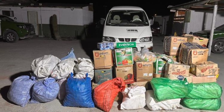 Detenidos por contrabando en cercanías de Quillagua