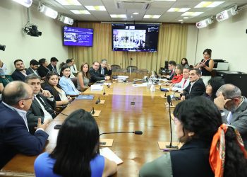 Proceso de constitución de comisiones concluyó hoy en la Cámara de Diputadas y Diputados