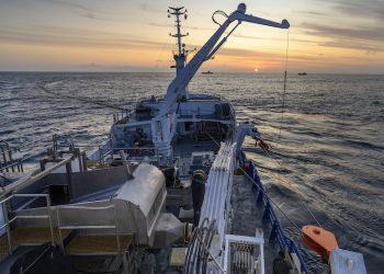 Estado de las pesquerías: Pesca Industrial destaca la situación del jurel y crustáceos, pero mantiene preocupación por la merluza común