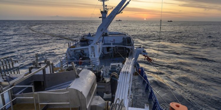 Estado de las pesquerías: Pesca Industrial destaca la situación del jurel y crustáceos, pero mantiene preocupación por la merluza común