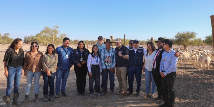Productoras del Tamarugal se capacitan en inocuidad e higiene de los alimentos
