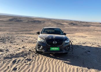 En tiempo record Carabineros recuperó auto robado en Alto Hospicio