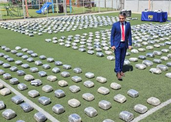 Fiscalía y PDI asestan nuevo golpe al narcotráfico con incautación de más de 2 toneladas de cannabis