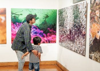 Fotografía submarina y documentales cautivaron a más de 6 mil personas en “Iquique, Mar de Campeones”