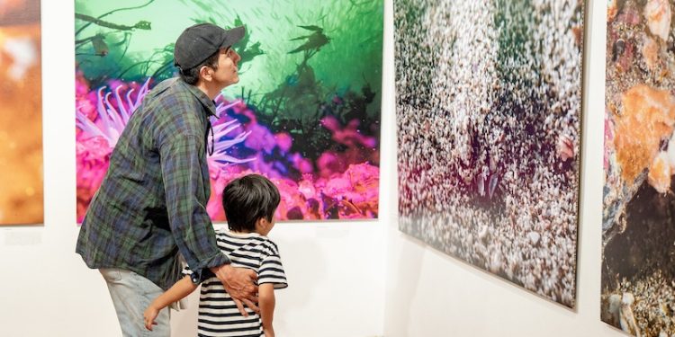 Fotografía submarina y documentales cautivaron a más de 6 mil personas en “Iquique, Mar de Campeones”