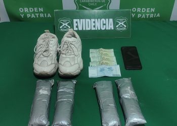 Can North detectó droga oculta en calzado de pasajera de bus Iquique-Santiago