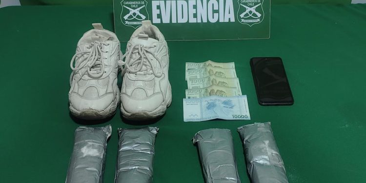 Can North detectó droga oculta en calzado de pasajera de bus Iquique-Santiago