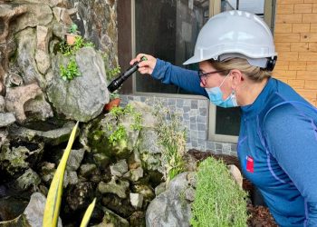 SEREMI de Salud refuerza vigilancia y control tras nuevo hallazgo de Aedes aegypti en Iquique