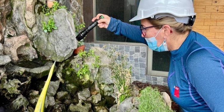 SEREMI de Salud refuerza vigilancia y control tras nuevo hallazgo de Aedes aegypti en Iquique