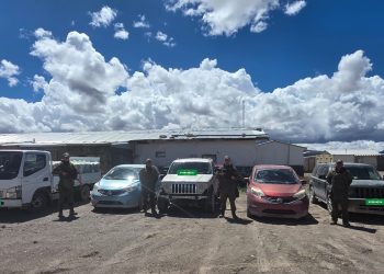 Carabineros detuvo a seis bolivianos por contrabando en Colchane