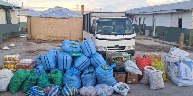 Carabineros detiene a hombre que transportaba alimentos de contrabando y más de 450 hojas de coca