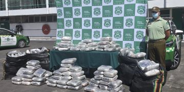 Carabineros incautó más de 440 mil dosis de marihuana