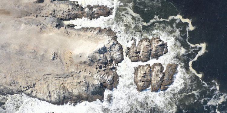 Empresa Guano Rojo Punta Gruesa logra su primera exportación a Guatemala