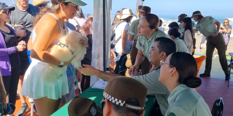 Carabineros invita a caminata canina dominical en Playa Brava