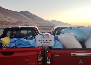 SAG interceptó 1.300 kilos de productos agrícolas ingresados de manera clandestina en la región de Arica y Parinacota