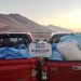 SAG interceptó 1.300 kilos de productos agrícolas ingresados de manera clandestina en la región de Arica y Parinacota