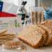 El alimento favorito de los chilenos podría ser más sano: Crean trigo que reduce compuestos dañinos en el pan