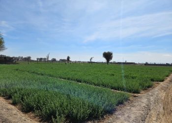Seremi de Agricultura de Tarapacá: Nuevo concurso de la Comisión Nacional de Riego para fortalecer la seguridad productiva del Norte Grande