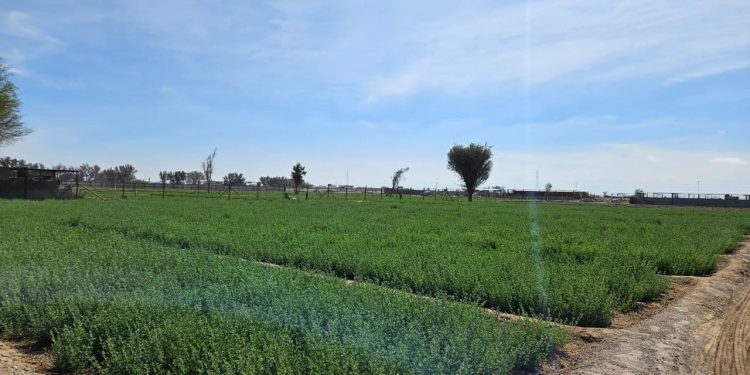 Seremi de Agricultura de Tarapacá: Nuevo concurso de la Comisión Nacional de Riego para fortalecer la seguridad productiva del Norte Grande