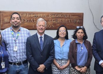 SEREMI de Agricultura y Servicios definieron lineamientos para rubro silvoagropecuario en primer Gabinete del Agro