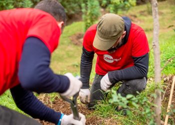 Día de la Tierra: Edenred reduce en 49,2% su huella de carbono en Chile y consolida avances en sostenibilidad local
