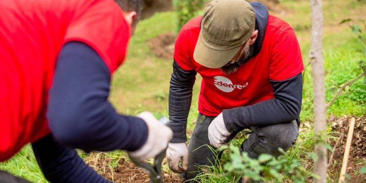 Día de la Tierra: Edenred reduce en 49,2% su huella de carbono en Chile y consolida avances en sostenibilidad local