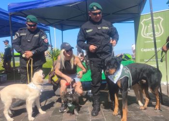 El equipo canino de Gendarmería brilló en la Gran Caminata Familiar por el 99° Aniversario de Carabineros