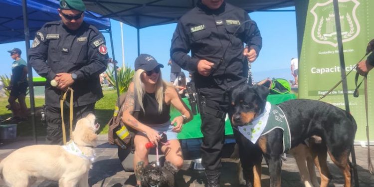 El equipo canino de Gendarmería brilló en la Gran Caminata Familiar por el 99° Aniversario de Carabineros