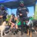 El equipo canino de Gendarmería brilló en la Gran Caminata Familiar por el 99° Aniversario de Carabineros