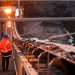 Minería digital y automatizada: Del casco al algoritmo