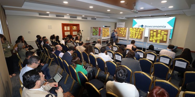 Lanzan proyecto que definirá estrategia regional de bioeconomía en Tarapacá