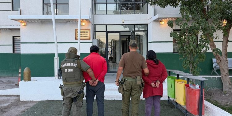 Tres mil huevos y especies de contrabando decomisados en comuna de Huara