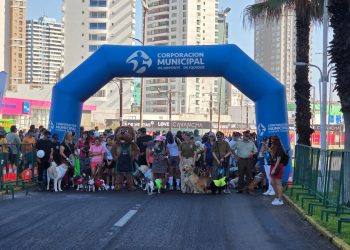 Iquique: Masiva caminata canina celebró los 99 años de Carabineros en el sector de Buque Varado