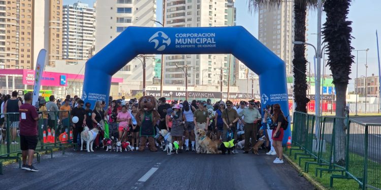 Iquique: Masiva caminata canina celebró los 99 años de Carabineros en el sector de Buque Varado