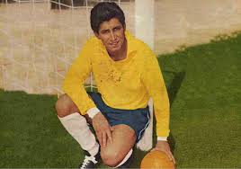 Falleció Adán Godoy, arquero que fue tercero del mundo con Chile 1962