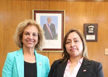 Denisse Barahona Vargas asume como secretaria regional ministerial de Minería